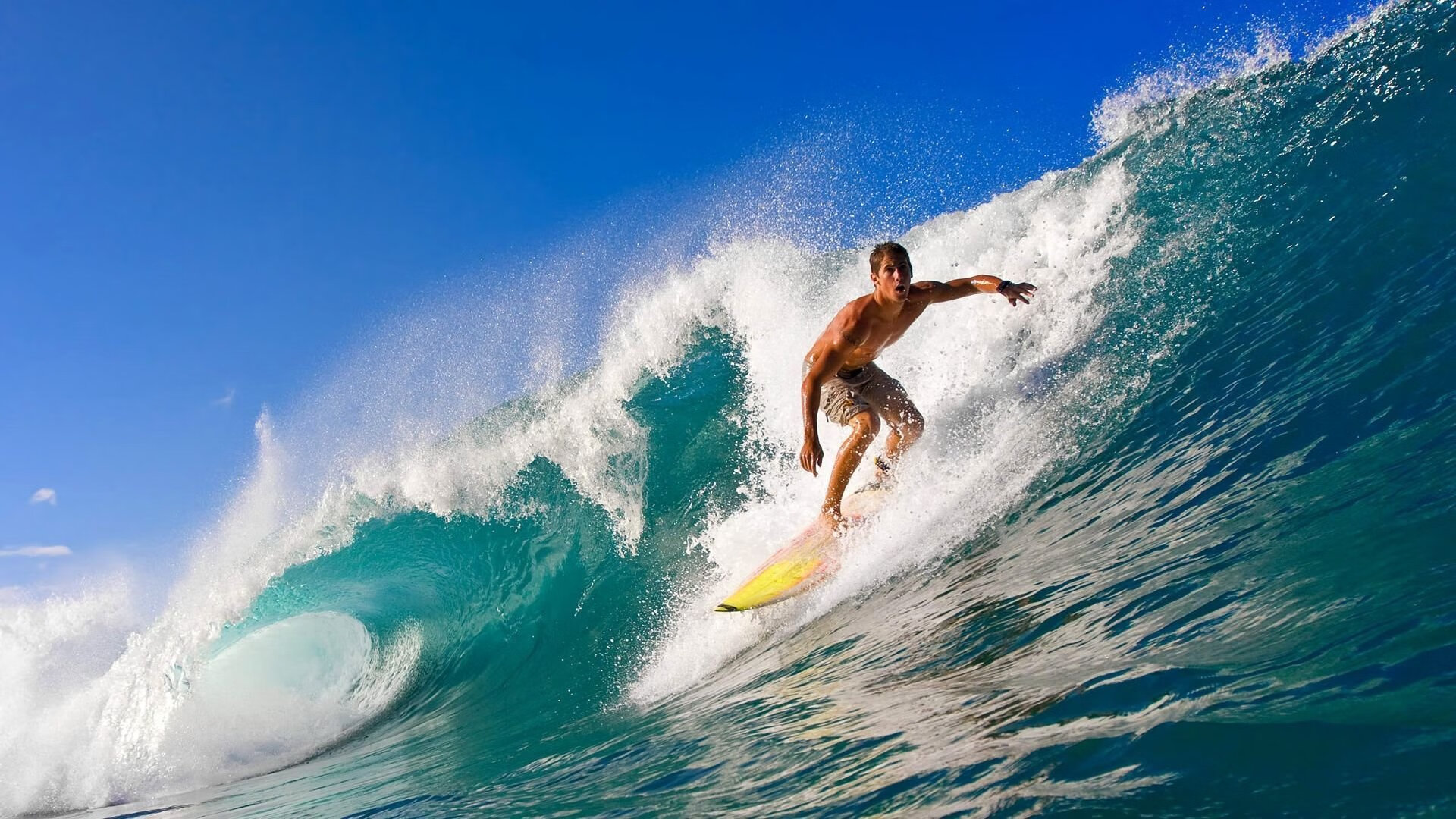 体育市场竞争力分析报告，体育行业竞争格局